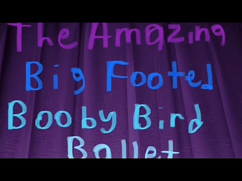 Austin’s Classical Music: The Amazing Big Footed Booby Bird Ballet (Full Episode)