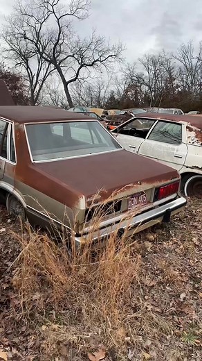 5000 RPM crank speed couldnt hurt it？ She’ll be mint. #ford #cartok #willitstart #junkyardcarfinds #fordfairmont | JuryriggedAuto | Facebook