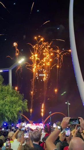 #happynewyear #2026 #fireworks #fyppppppppppppppppppppppp