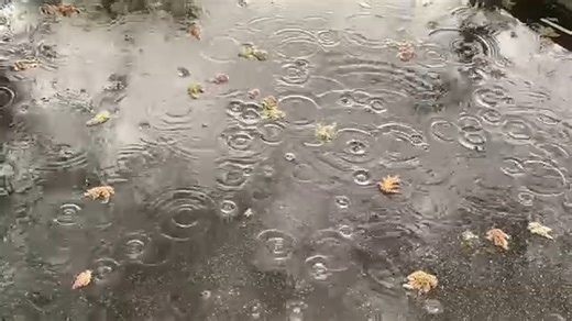 Rain and potential thunderstorms set to move in to the Valley