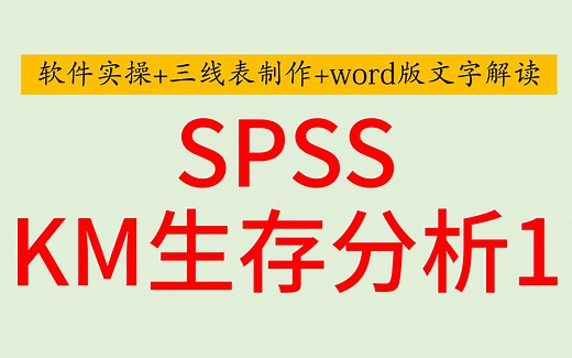 SPSS医学统计-Kaplan-Meier生存分析-log rank检验-生存曲线比较