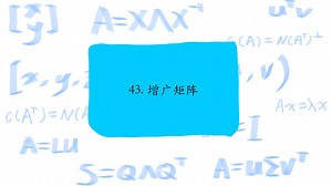 43. 增广矩阵，Augumented matrices