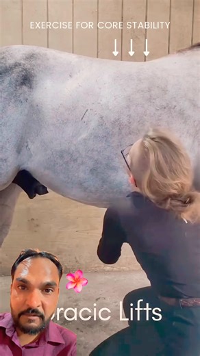 Horse Massage Therapy 😮🐎 | Satisfying ASMR Horse Care #shorts#horse #animallife