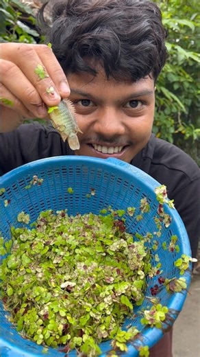 কই মাছের বাচ্চা ছাড়লাম😮#youtubeshorts #shorts #video #village #fish #viralvideo #fish