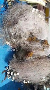 A huge THANK YOU to our guests yesterday that helped the Barbados Blue team haul this massive abandoned net out of the water. It's bad fishing practises like this that often lead to the unnecessary deaths of so many marine species. We're thankful to have found this net before it caused bigger problems. Good job Team! | Barbados Blue