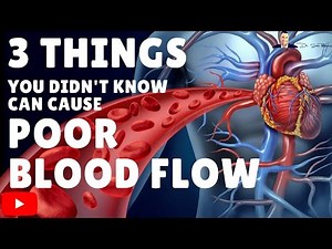 → 3 Things You Didn’t Know Can Cause Poor Blood Flow & Circulation - by Dr Sam Robbins