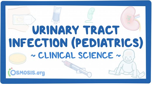Urinary tract infection (pediatrics): Video & Meaning | Osmosis