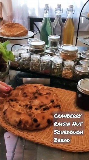 Sourdough Favorite ☆☆☆☆☆ Cranberry Raisin Nut Bread