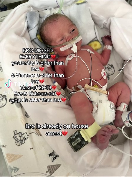 The Surprising Life of a 12-Hour-Old Baby