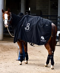 The herd is currently being settled for the Affinity Equine Insurance Open Pinnacle 🎉 we wish 𝗦𝗺𝗶𝘁𝗵 𝗙𝗮𝗺𝗶𝗹𝘆 𝗦𝘂𝗽𝗮 𝗦𝘁𝘆𝗹𝗲 and 𝗧𝗼𝗱𝗱 𝗚𝗿𝗮𝗵𝗮𝗺 the very best of luck. #affinityequineinsurance #ncha #cuttinghorses #classicequine #toddgrahamcuttinghorses #4cyte | Bloom Performance Horses