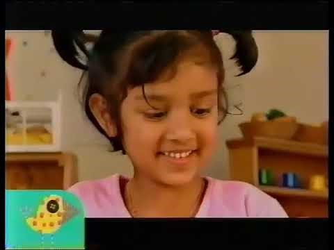 Noggin's Art Alive - Dog & Cat (Rare)