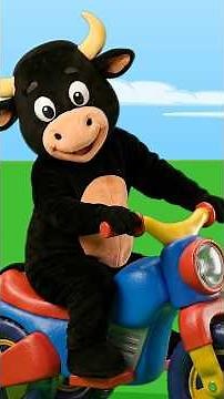Zé Boi Acelera Motoca🏍️💨 os Bois Dançam 🐮🕺 Dendene Dendene #shorts #infantil #criança #boi
