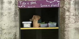 Plant library opens in Northside