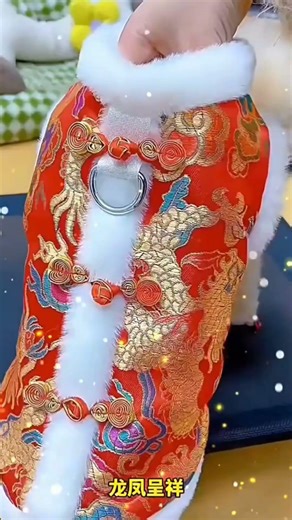 Pet Dog New Year Tang Suit