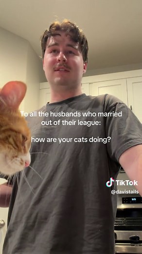 How Are Your Cats Doing? Funny Cat Dad Confessions