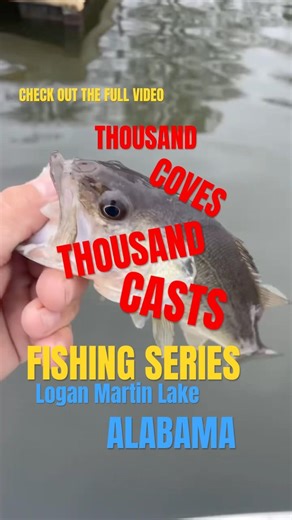 🔴Gonna Be a Good One