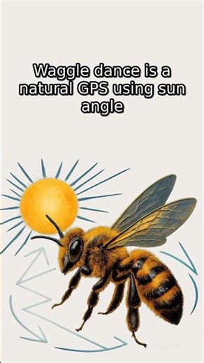 Bee Brains Blow Your Mind With 170 Smell Genes | NatureBlobs