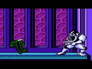 Battletoads All Bosses (No Damage With Ending) NES