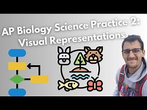 AP Biology Exam Prep: Visual Representations