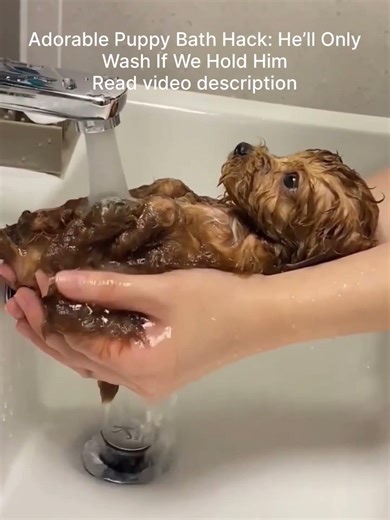 Adorable Puppy Bath Hack: He’ll Only Wash If We Hold Him