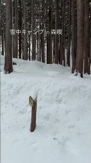 ランクル250で雪中キャンプ #ランクル250 #雪中キャンプ #ソロキャンプ #岡山キャンプ場