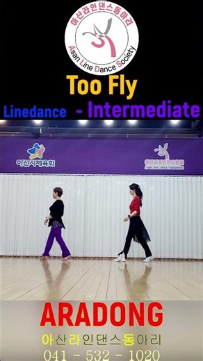 Too Fly Linedance #shorts Intermediate @ARADONG linedance #아라동 #ARADONG #Too Fly