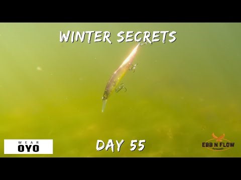 HOW TO CATCH BASS IN FREEZING WATER: TARGETING WINTER HOLDING AREAS!