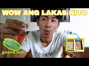 EXPERIMENT BAYABAS G-LOAD PAMPALAKAS!!
