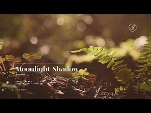 메이플스토리 (MapleStory) - Moonlight Shadow (엘리니아 필드 BGM) Piano Cover 피아노 커버