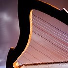 How to Tune a 15 String Lap Harp