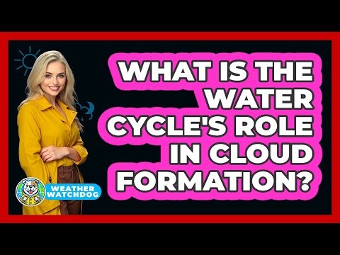 What Is The Water Cycle's Role In Cloud Formation? - Weather Watchdog