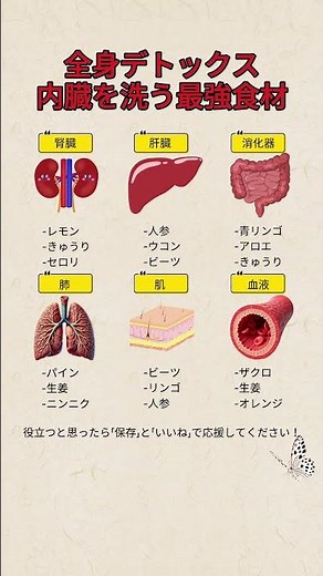 【全身デトックス】内臓を綺麗にする最強食材まとめ 🌿✨ #健康 #デトックス #体質改善 #肝臓ケア #肺の健康 #腎臓ケア #美容健康 #健康習慣 #食育 #インナーケア #野菜の力 #健康寿命