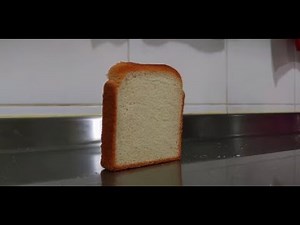 Bread falling compilation