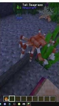 CÓMO USAR CRUSTÁCEOS y CANGREJOS en MINECRAFT con Hybrid Aquatic