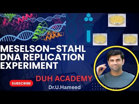 Semiconservative DNA Replication/ Meselson–Stahl DNA Replication Experiment/Urdu-Hindi