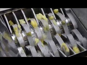 Making Exotic fruit salad with FilaMaker Organic waste shredder