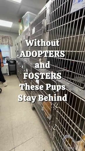 1.9K views · 1K reactions | Our next transport is coming up, and...