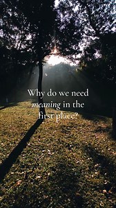 Why do we need meaning in the first place? What is the purpose of meaning? To answer that, we need to get into the nature of the brain. Your brain is locked away in a skull, in complete darkness, and the only access to the outside world is through your senses. It has to do its job to process information for the sole purpose of keeping you alive. It never rests from that mission. All it’s looking for, all the time, is the interpretation of information which is the creation of meaning. #mindfulnes