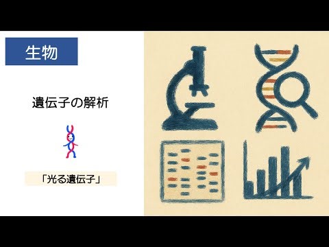 50生物「遺伝子の解析」2025