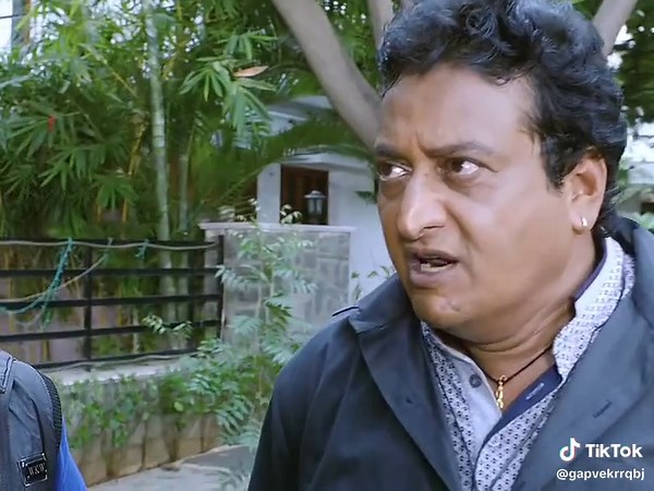 Understanding Creator Search Insights for Growth