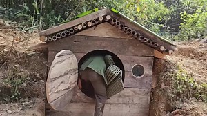 Build a new bushcraft camp on the ruins of an old bushcraft camp #build #building #bushcraft #camp #camping #outdoor #outdoors #trip #shelter #viral #fyp #foryou #foryoupage #trending