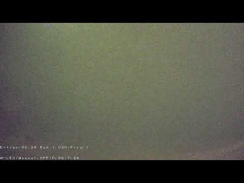 Issaquah Salmon Cam