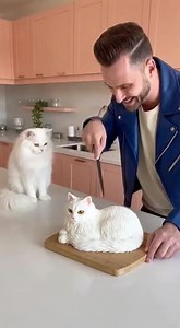 I Bought a $100 White Angora Cat-Shaped Cake and Showed It to a Real White Angora Cat 😲🍰 I bought a hyper-realistic $100 white Angora cat-shaped cake and gently cut it in front of a real white Angora cat to capture a natural and adorable reaction. This 10-second short video is created using AI-generated visuals and is made purely for entertainment. The cat shown is calm, safe, and treated with care at all times. Watch till the end for the reaction! DISCLAIMER: This video contains AI-generated 