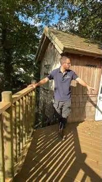 Reviewing an ageing treehouse that needs a little tlc, in advance of aftercare work
