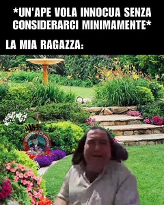 Calma -Tato | Mimmo Modem