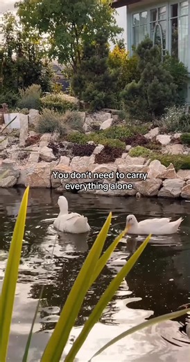 You are allowed to lean on others. Healing does not have to happen in isolation. #fyp #nervoussystemregulation #relaxingvideos #natureasmr #selfhealing