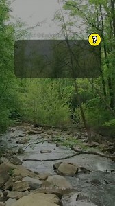 251K views · 4.6K reactions | Science Trivia Quiz Game. Follow us for more fun quizzes and interesting facts. . . #thebranypedia #triviachallenge #quiz #quizvideos #funfacts #QuizTime #TriviaTime #triviaquiz #quizgame #sciencequiz | Brainypedia | Facebook