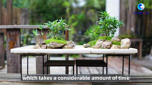 12K views · 47 reactions | Watch as Canadian bonsai artist Chad Sinclair meets Sichuan Penjing master Hu Shixun. Explore their cross-cultural exchange on the art of Penjing. Click to see the sparks fly! #GLOBALink | Xinhua Culture&Travel | Facebook