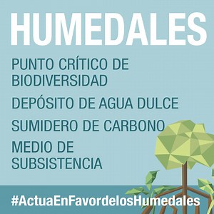 Official website of World Wetlands Day by Ramsar - 2 February - World Wetlands Day