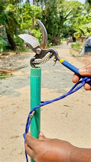 Perfect DIY Tree Pruning Tool 🌳 | Simple & Clever Idea